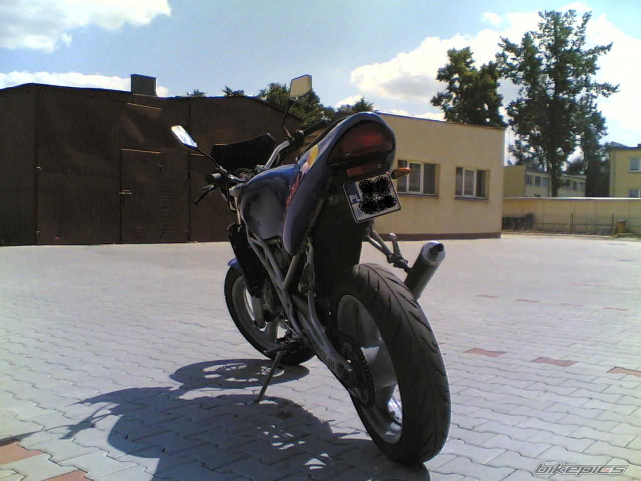 Photo 1365057