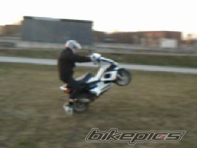 Photo 136515