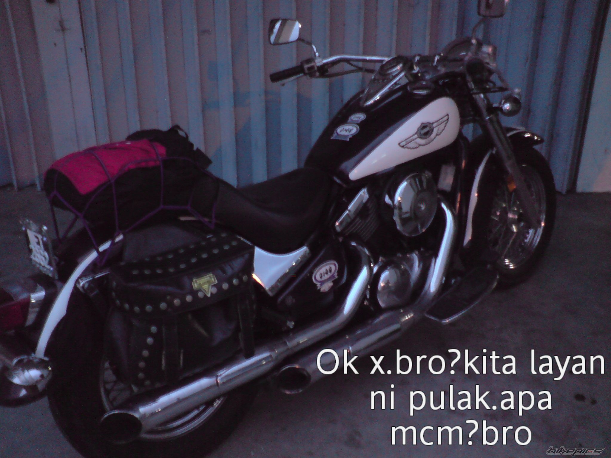Photo 1365155