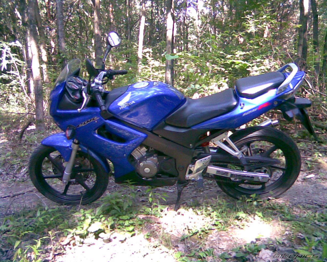 Photo 1365171