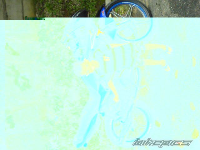 Photo 1365186