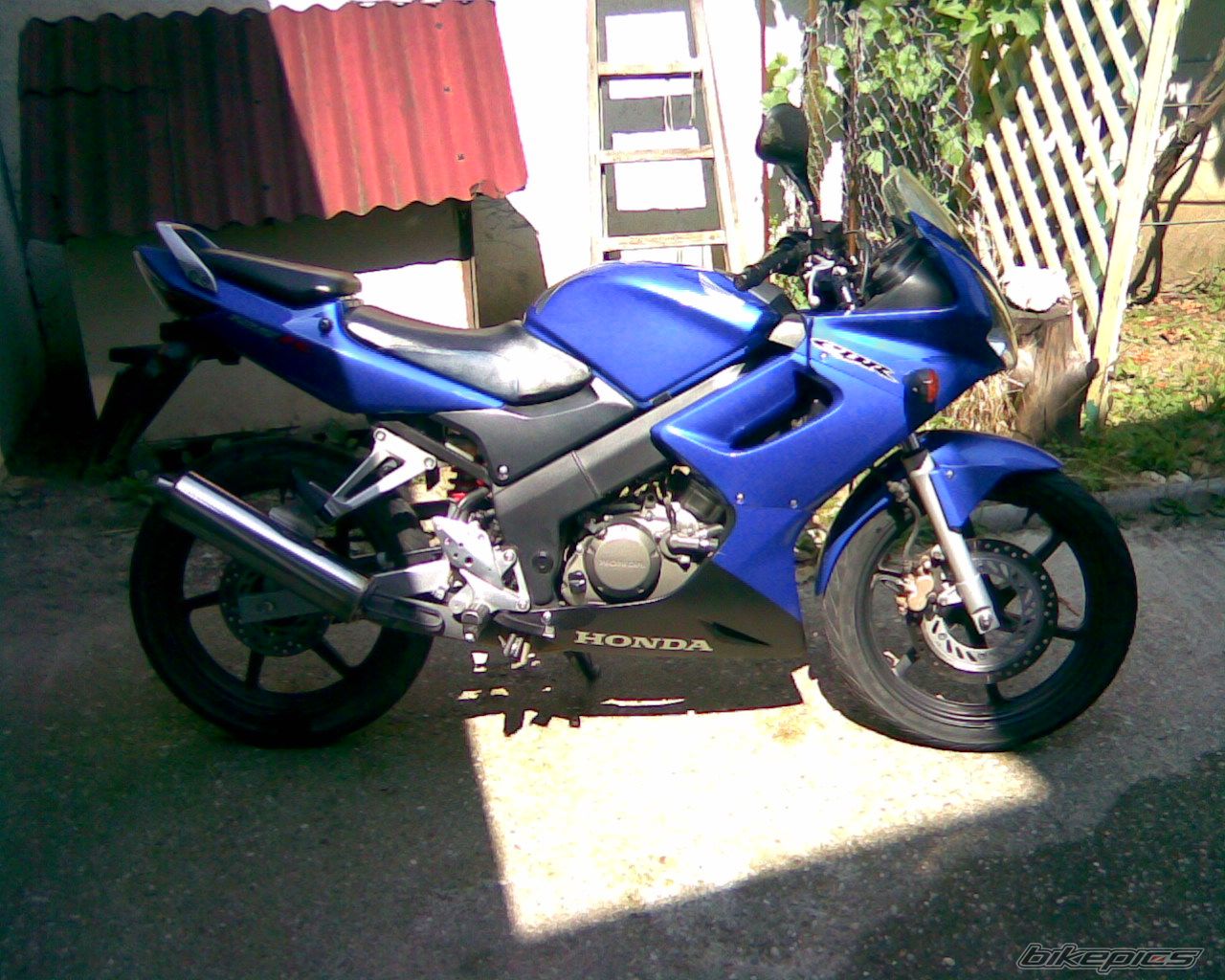 Photo 1365242