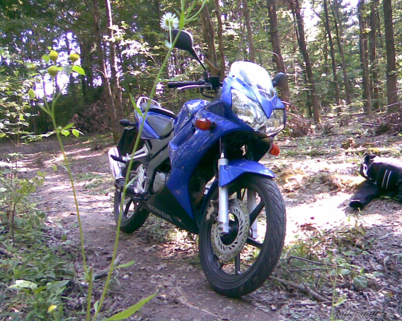 Photo 1365243