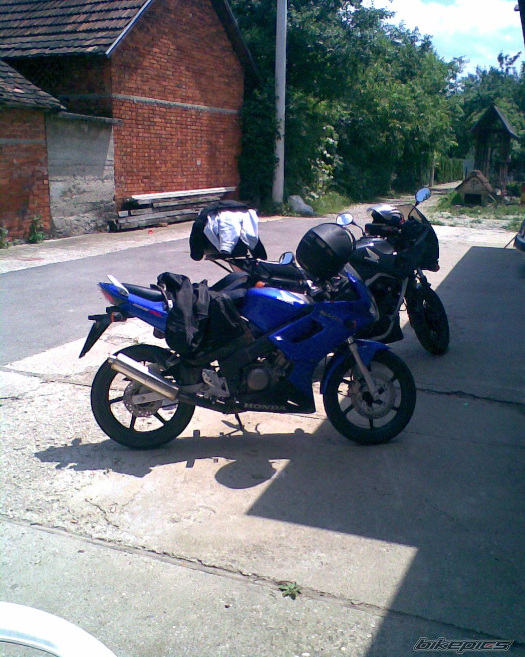 Photo 1365249