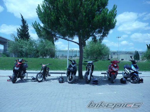 Photo 1365278
