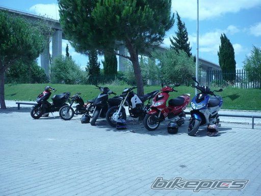 Photo 1365280