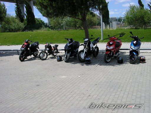 Photo 1365282