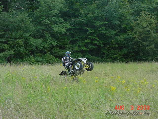 Photo 136534