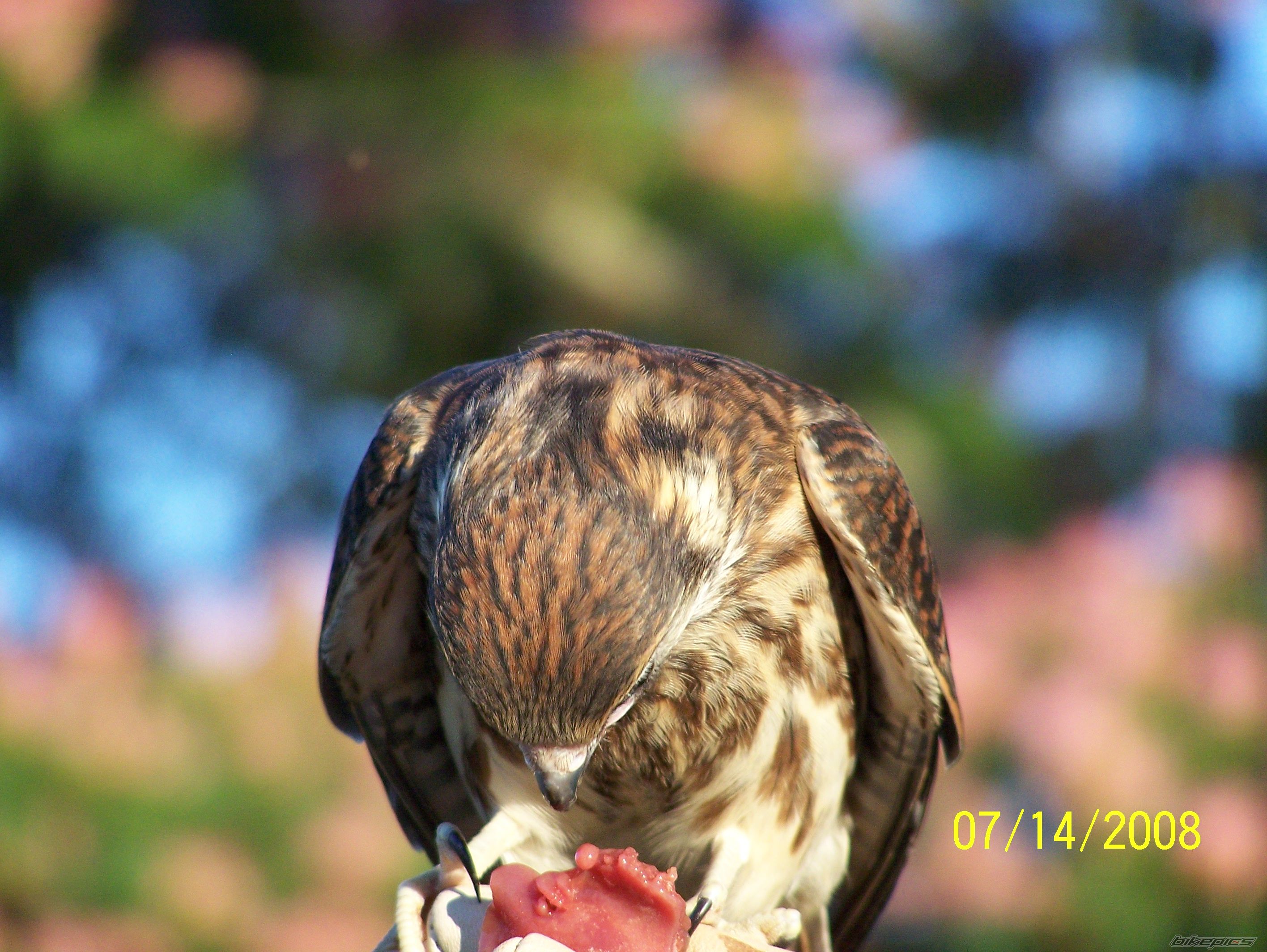 Photo 1365376