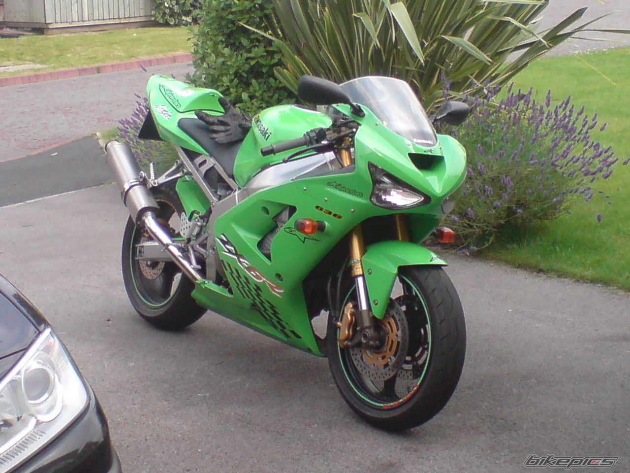 Photo 1365399