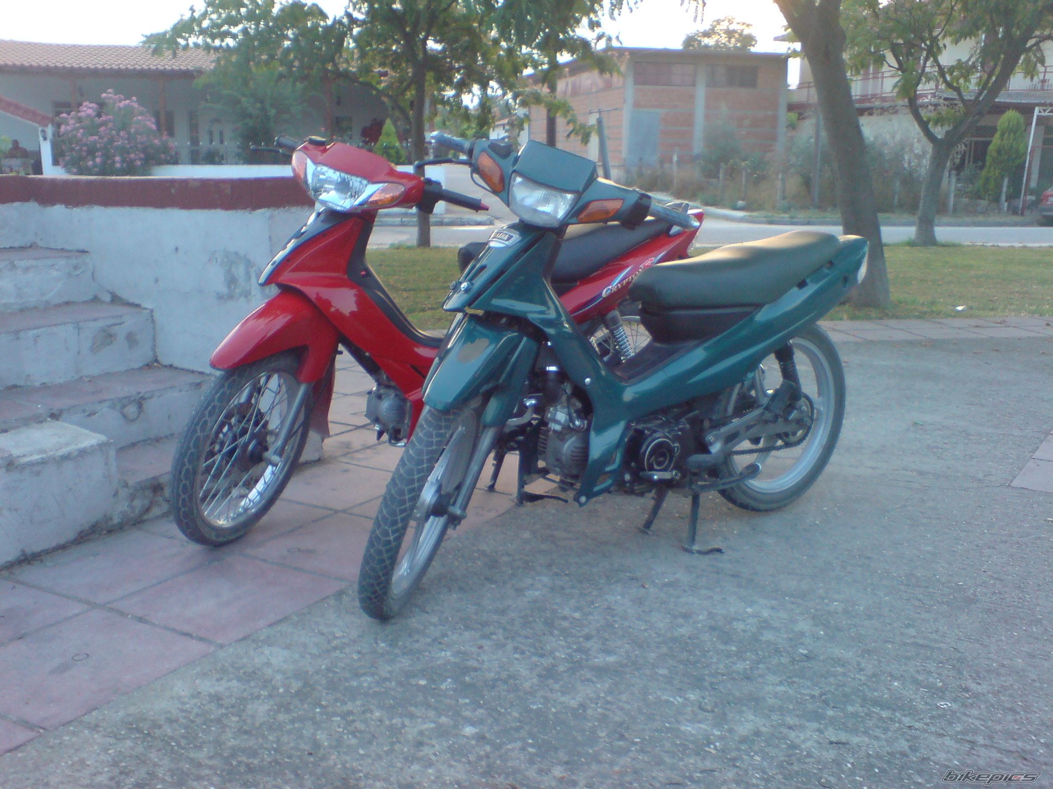 Photo 1365403