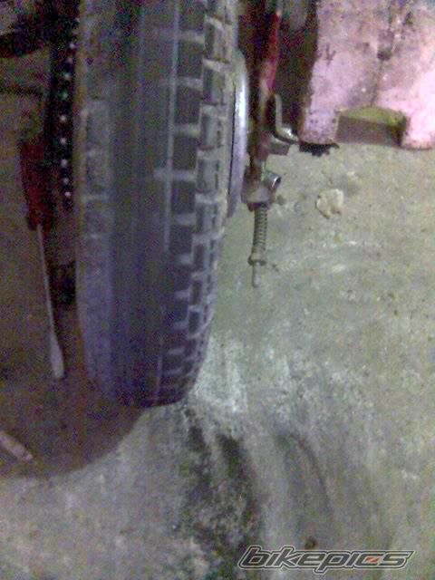 Photo 1365428