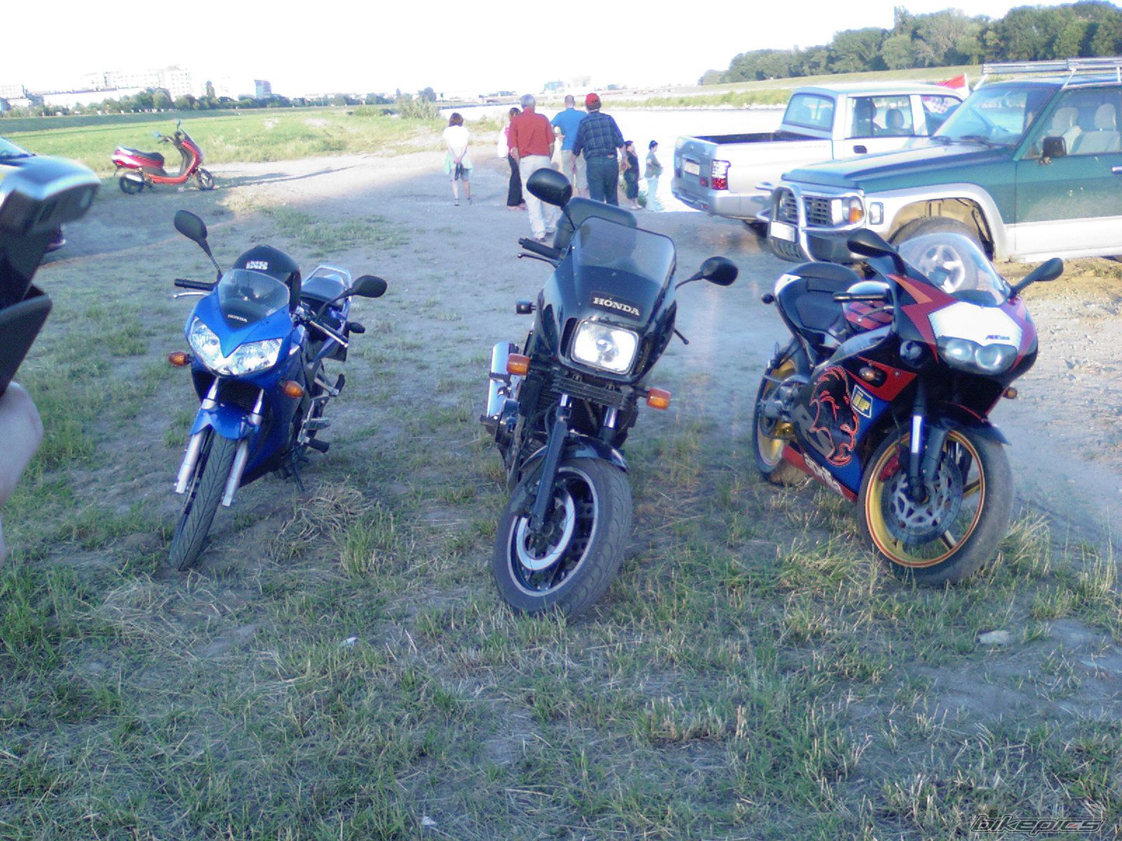Photo 1365453