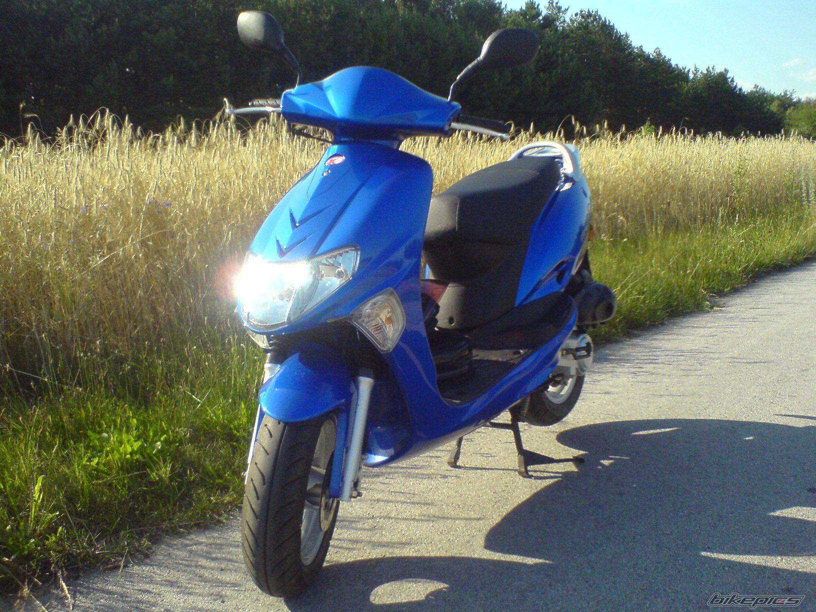 Photo 1365457