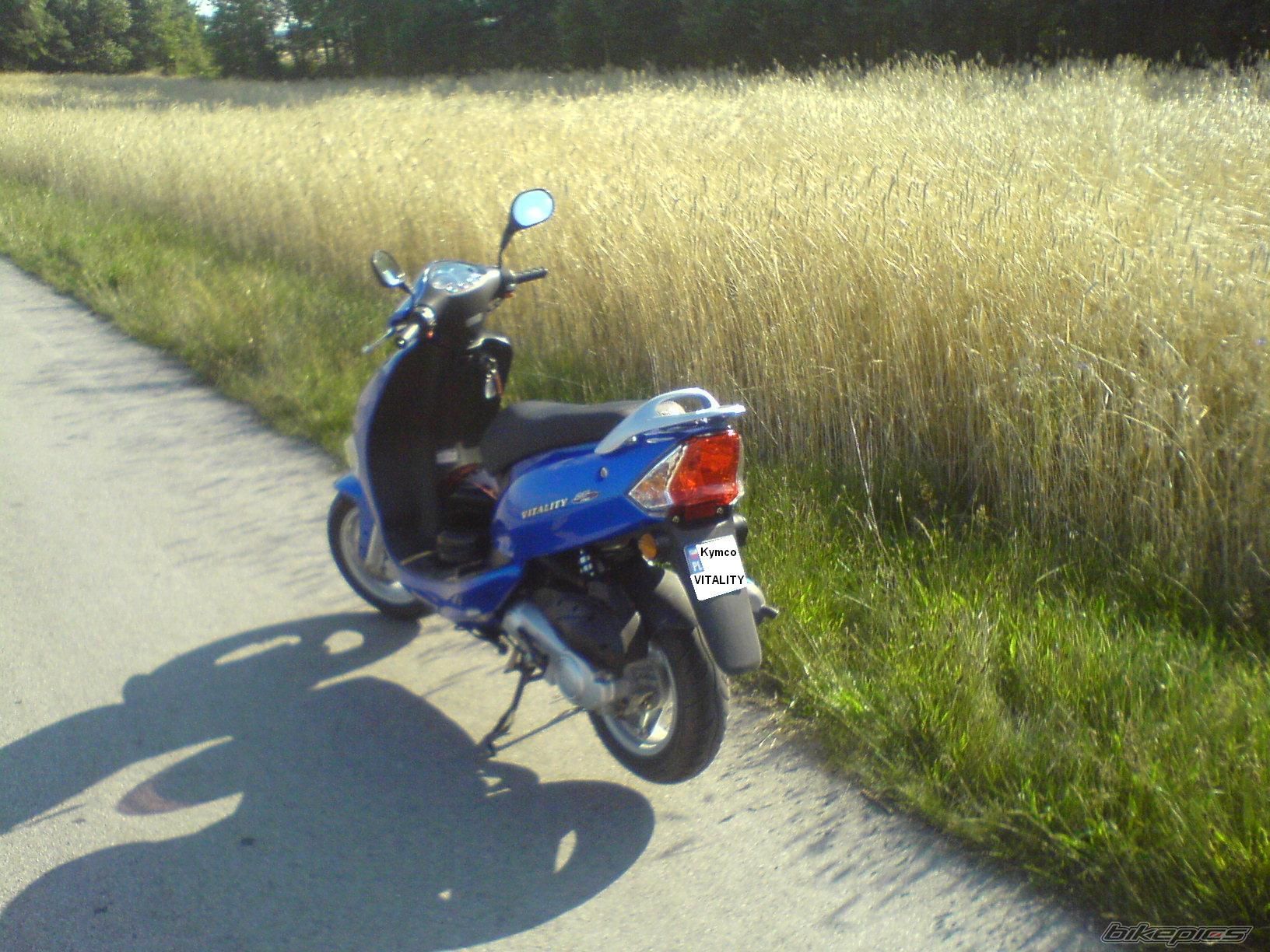 Photo 1365459