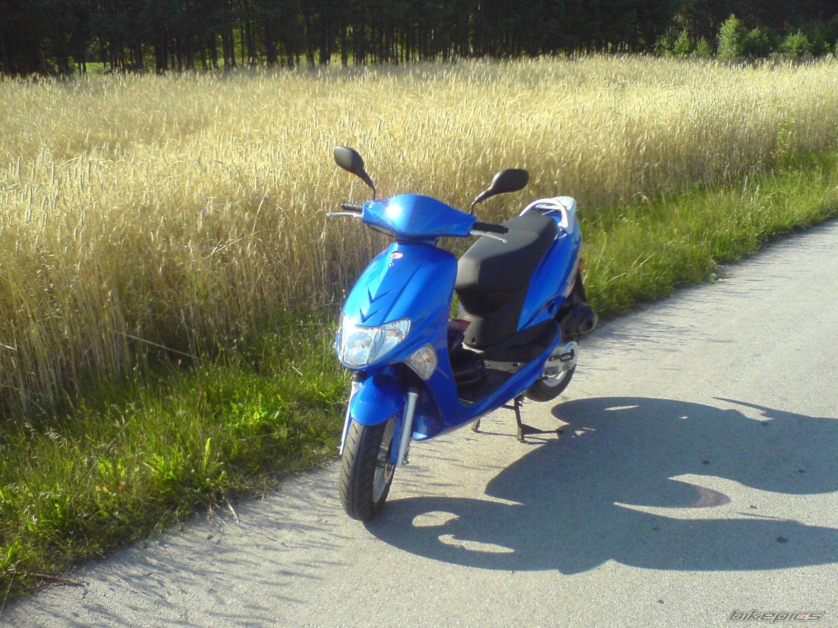 Photo 1365465