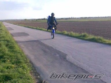 Photo 1365479