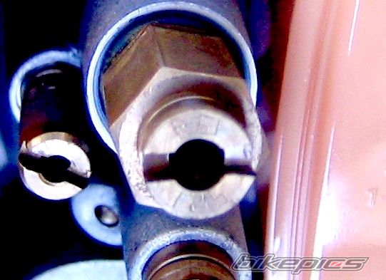 Photo 1365517