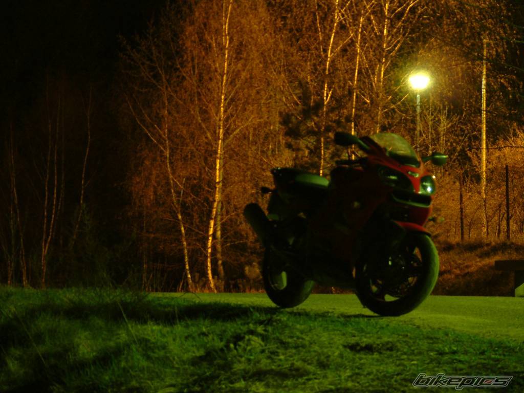 Photo 136553