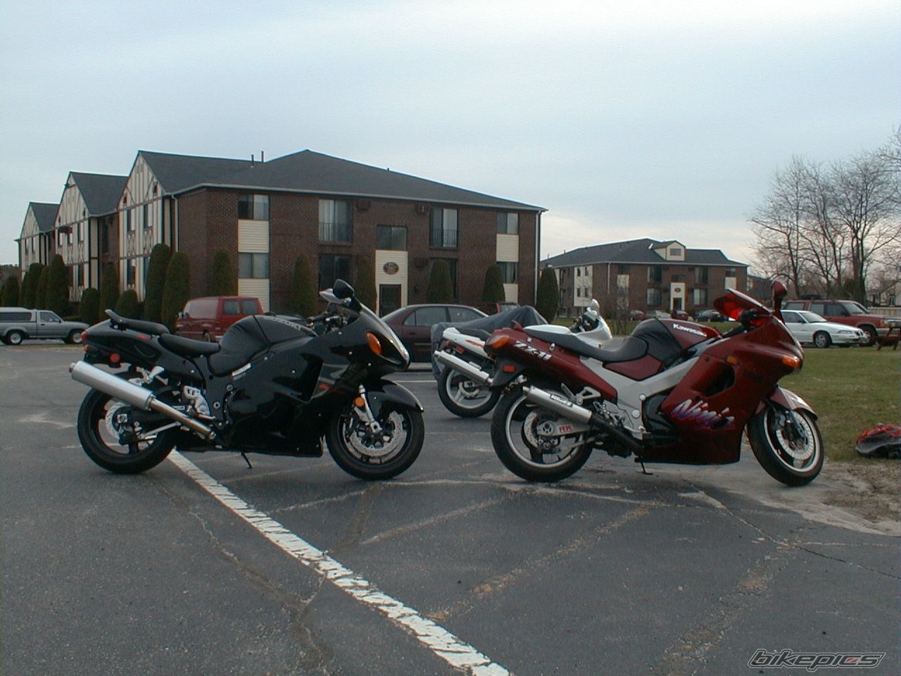 Photo 1365772