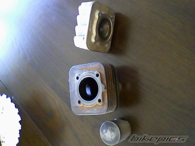 Photo 1365807