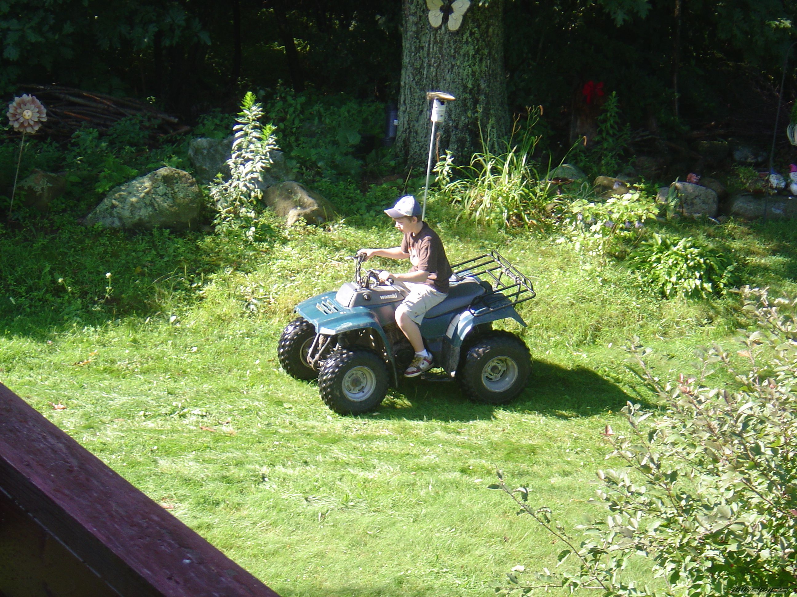 Photo 1365849