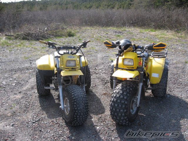 Photo 1365854