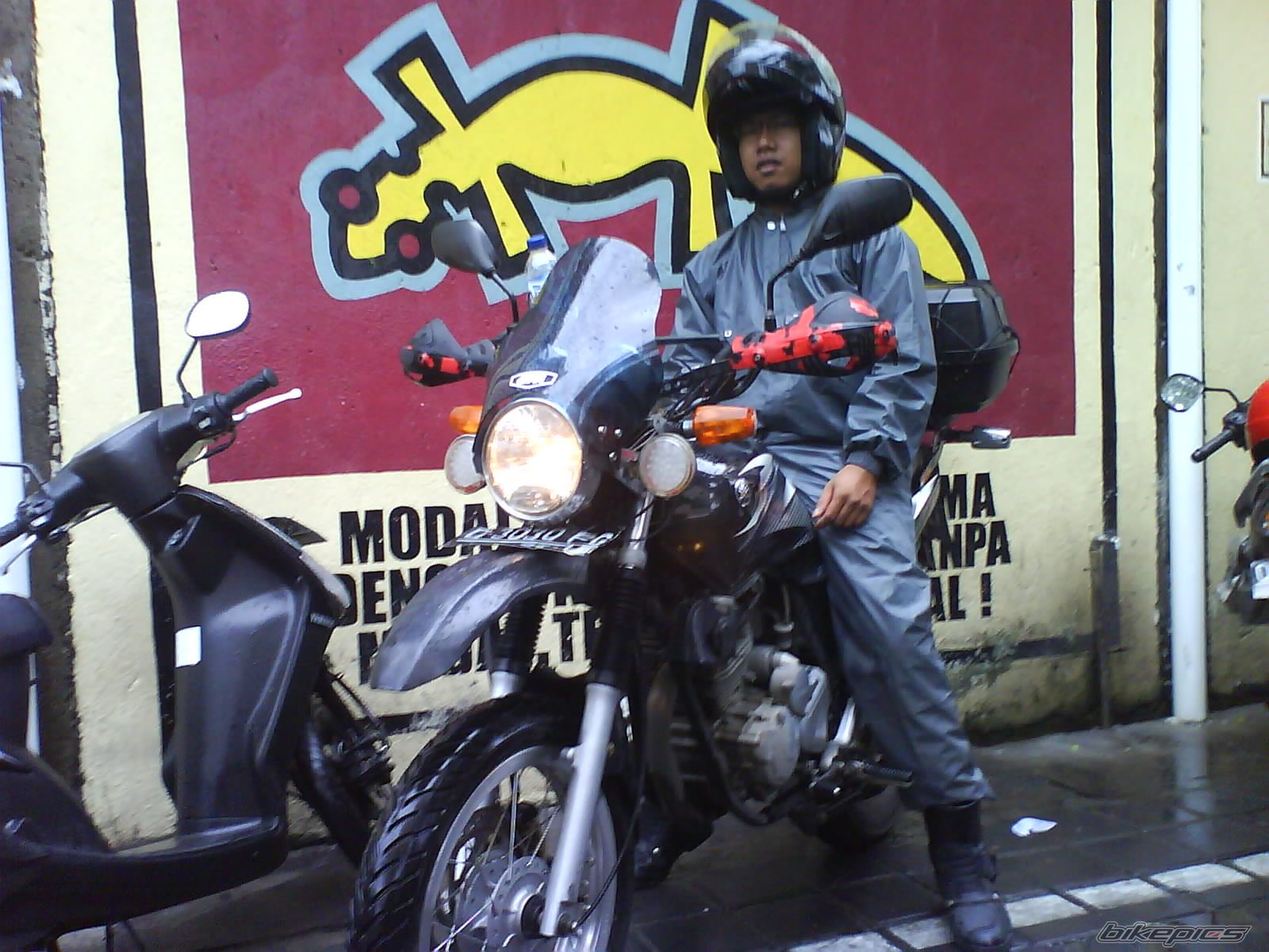 Photo 1365907