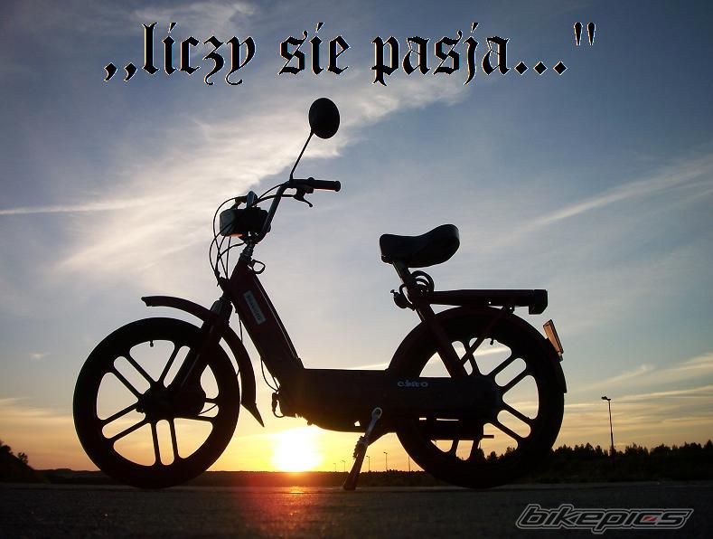 Photo 1366152