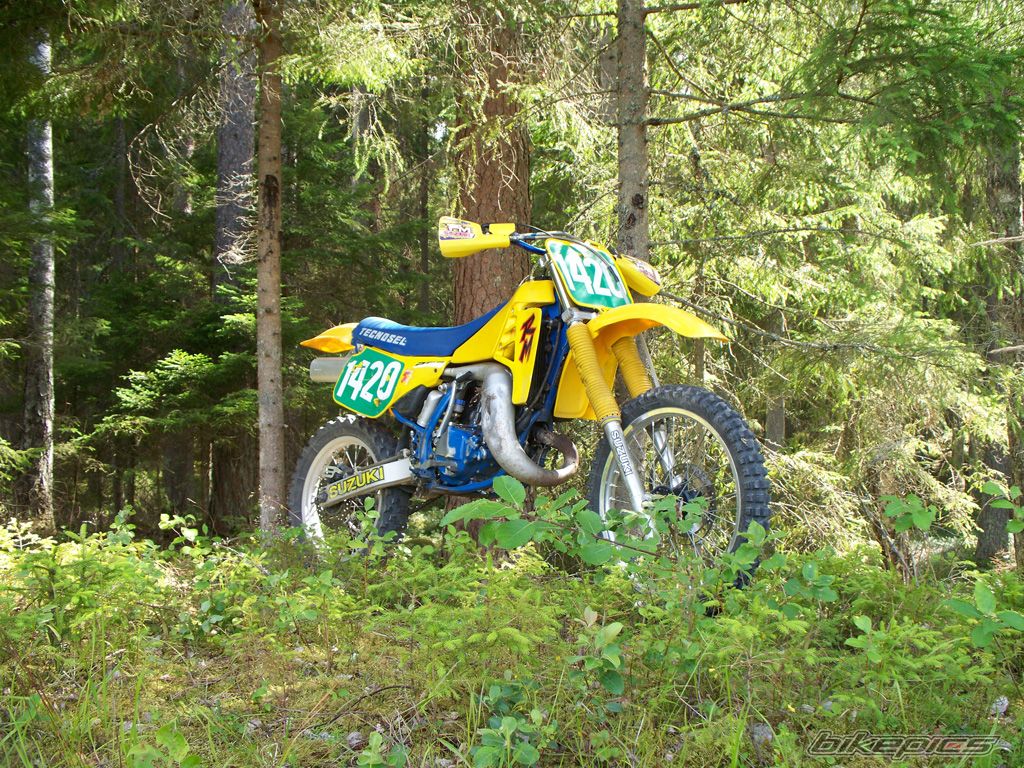 Photo 1366209