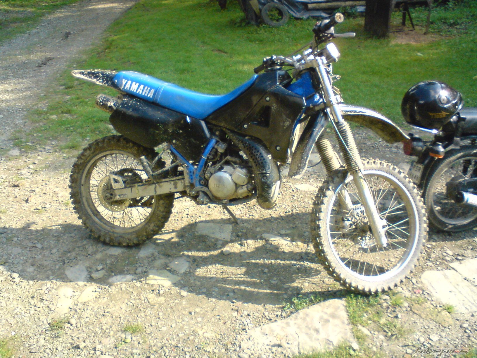 Photo 1366216