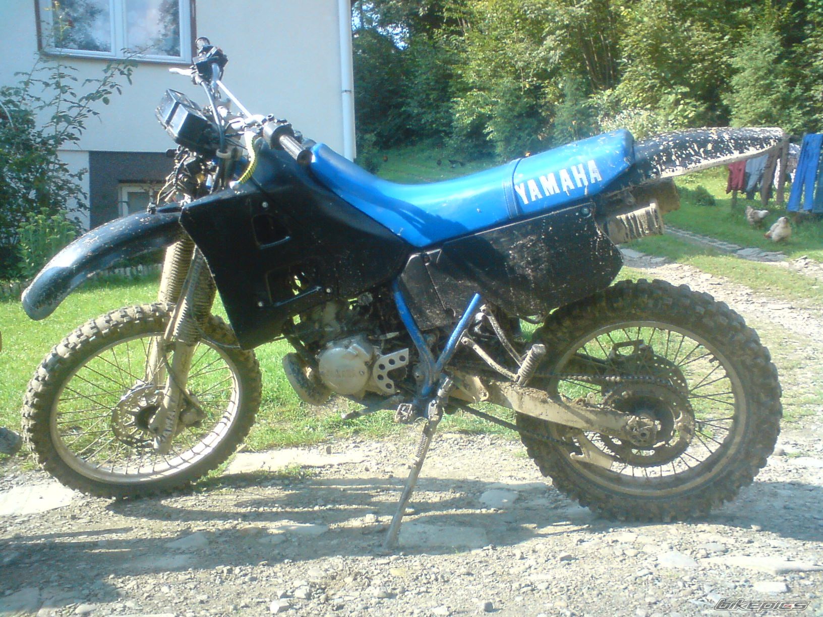 Photo 1366227