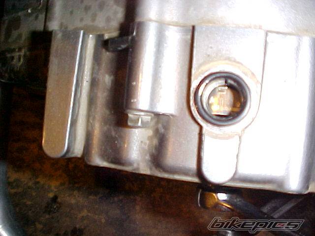 Photo 136632
