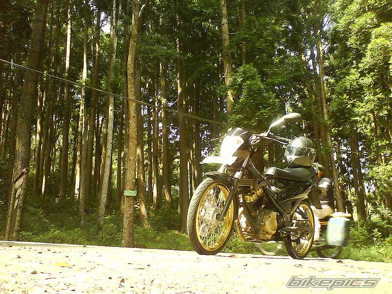Bike Photo 1366463