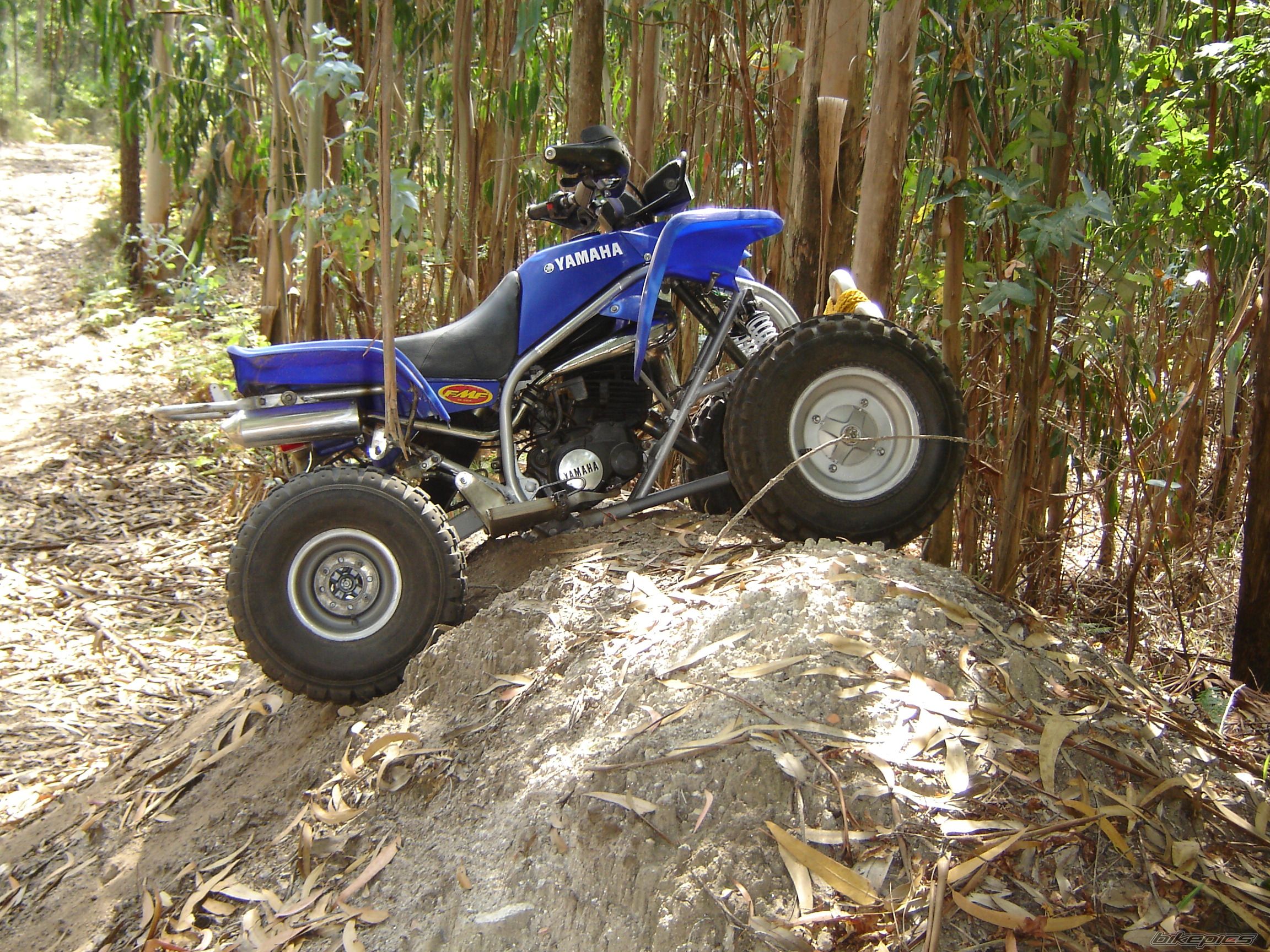 Photo 1366729