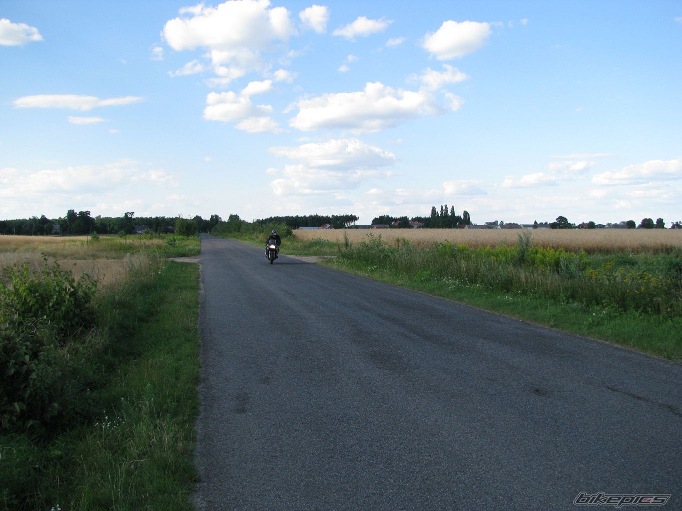 Photo 1366743