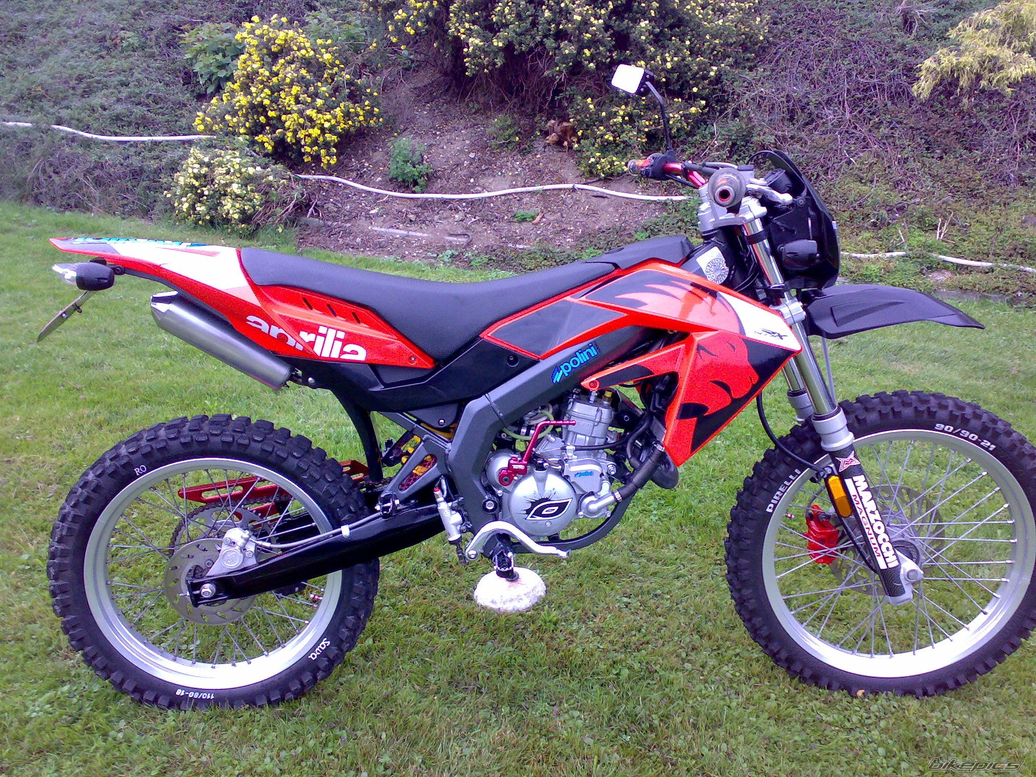 Photo 1366796