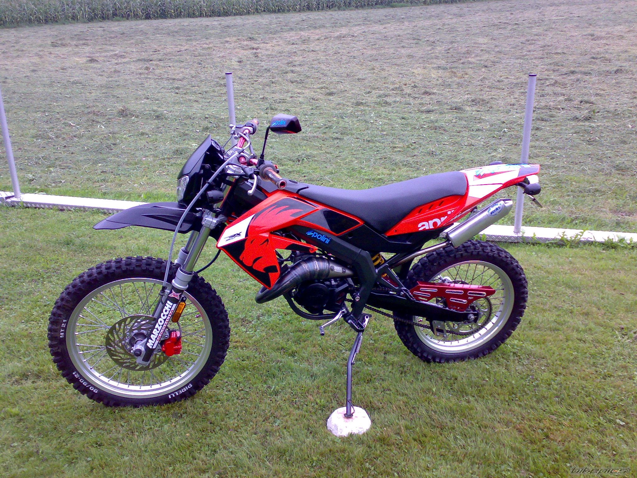 Photo 1366803