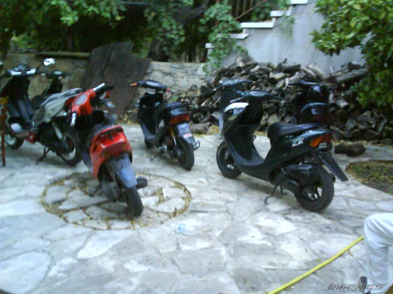 Photo 1366816