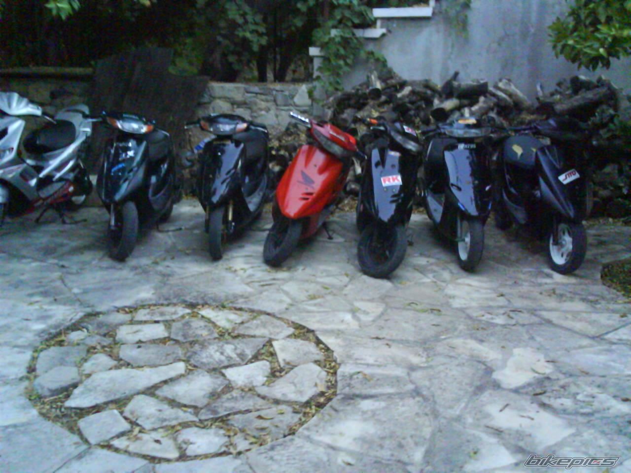 Photo 1366819