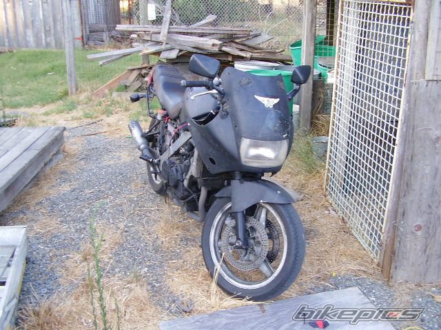 Photo 1366853
