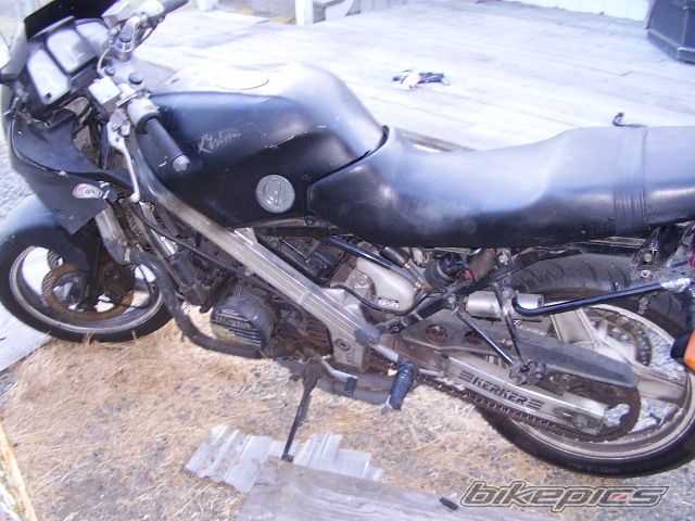 Photo 1366855