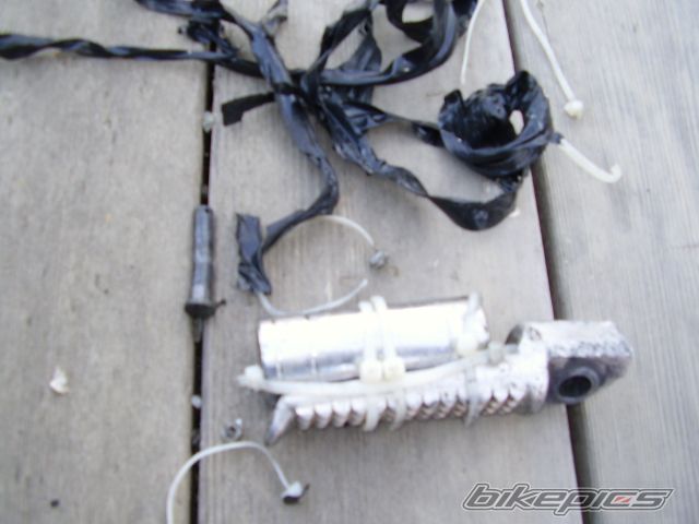 Photo 1366856