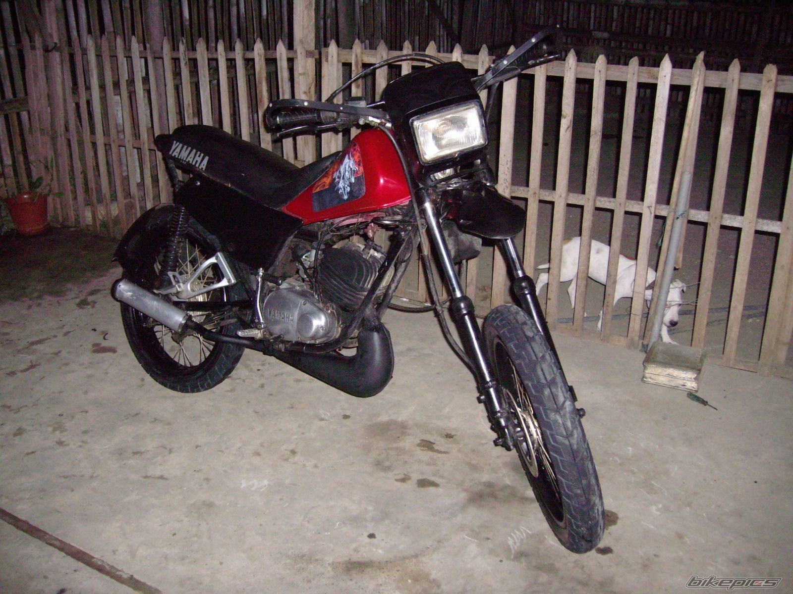 Photo 1367046
