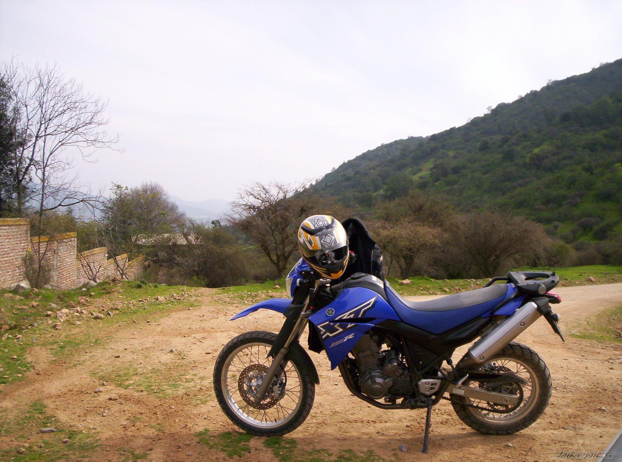 Photo 1367079