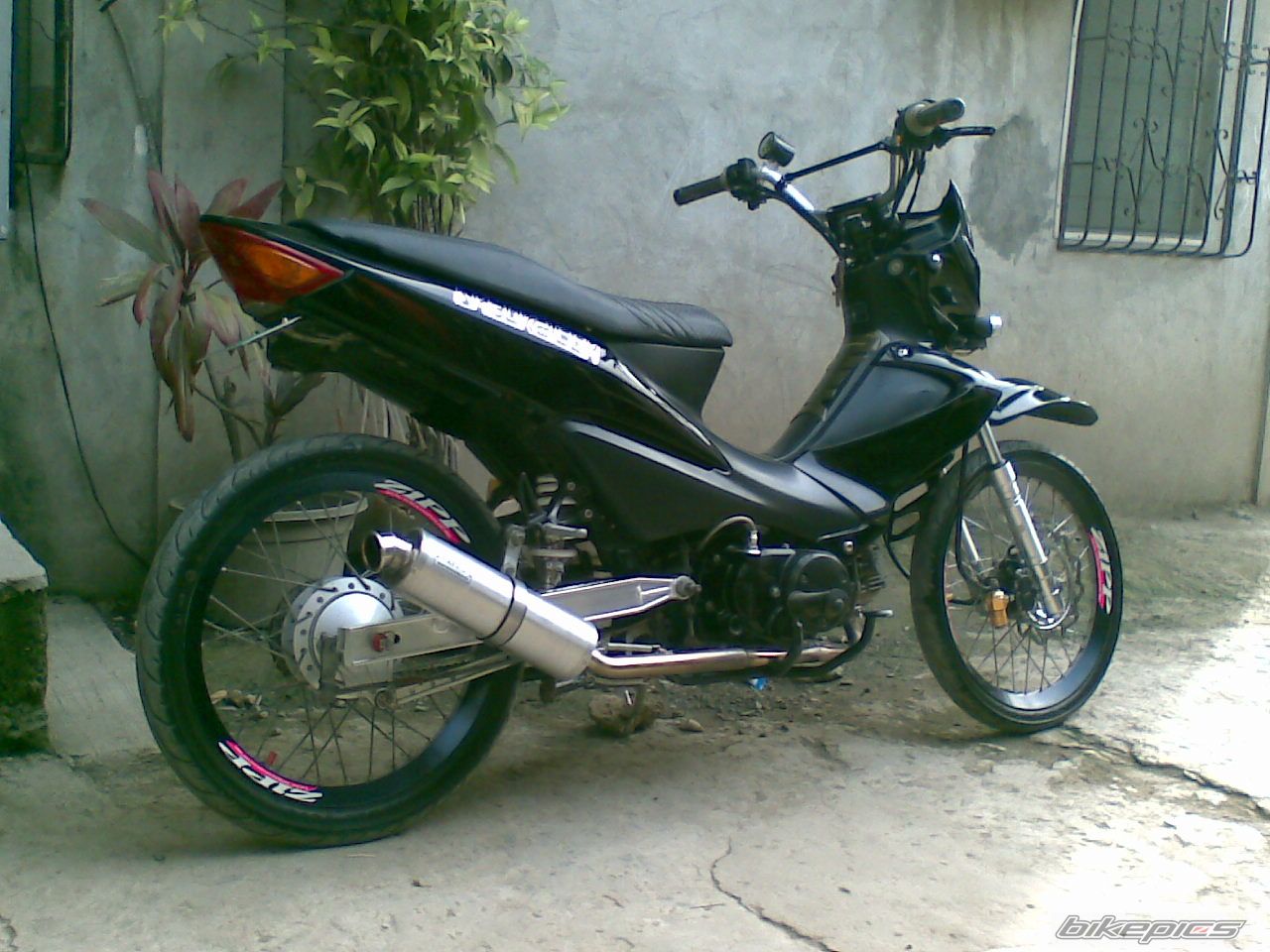 Photo 1367095