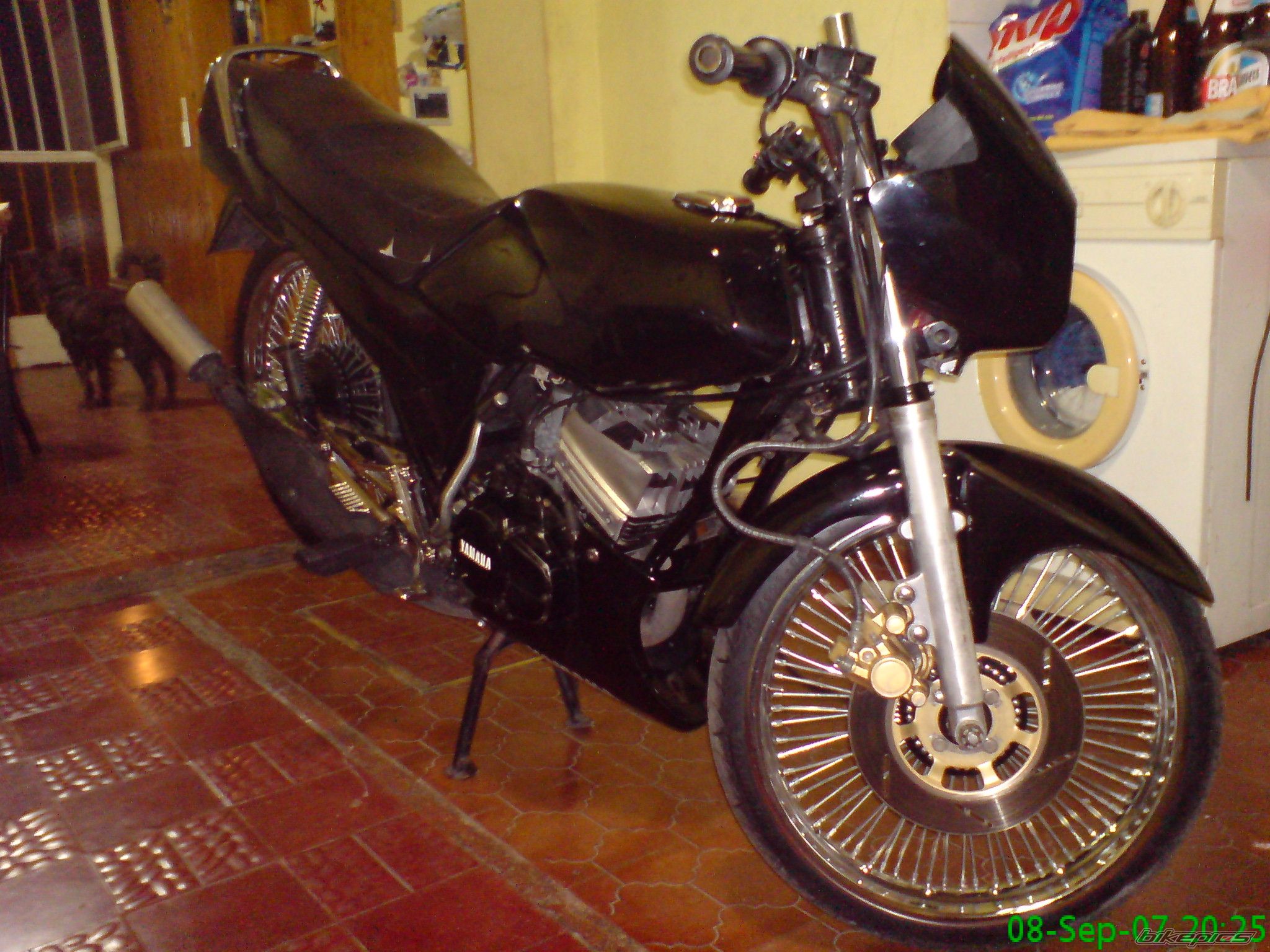 Photo 1367139