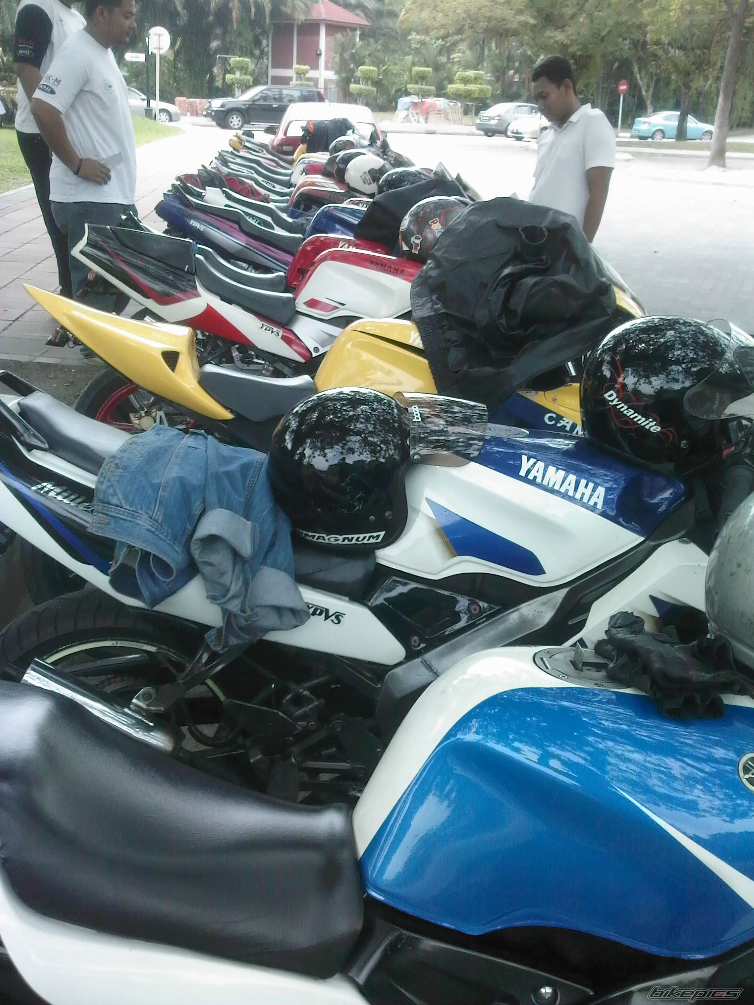 Photo 1367161