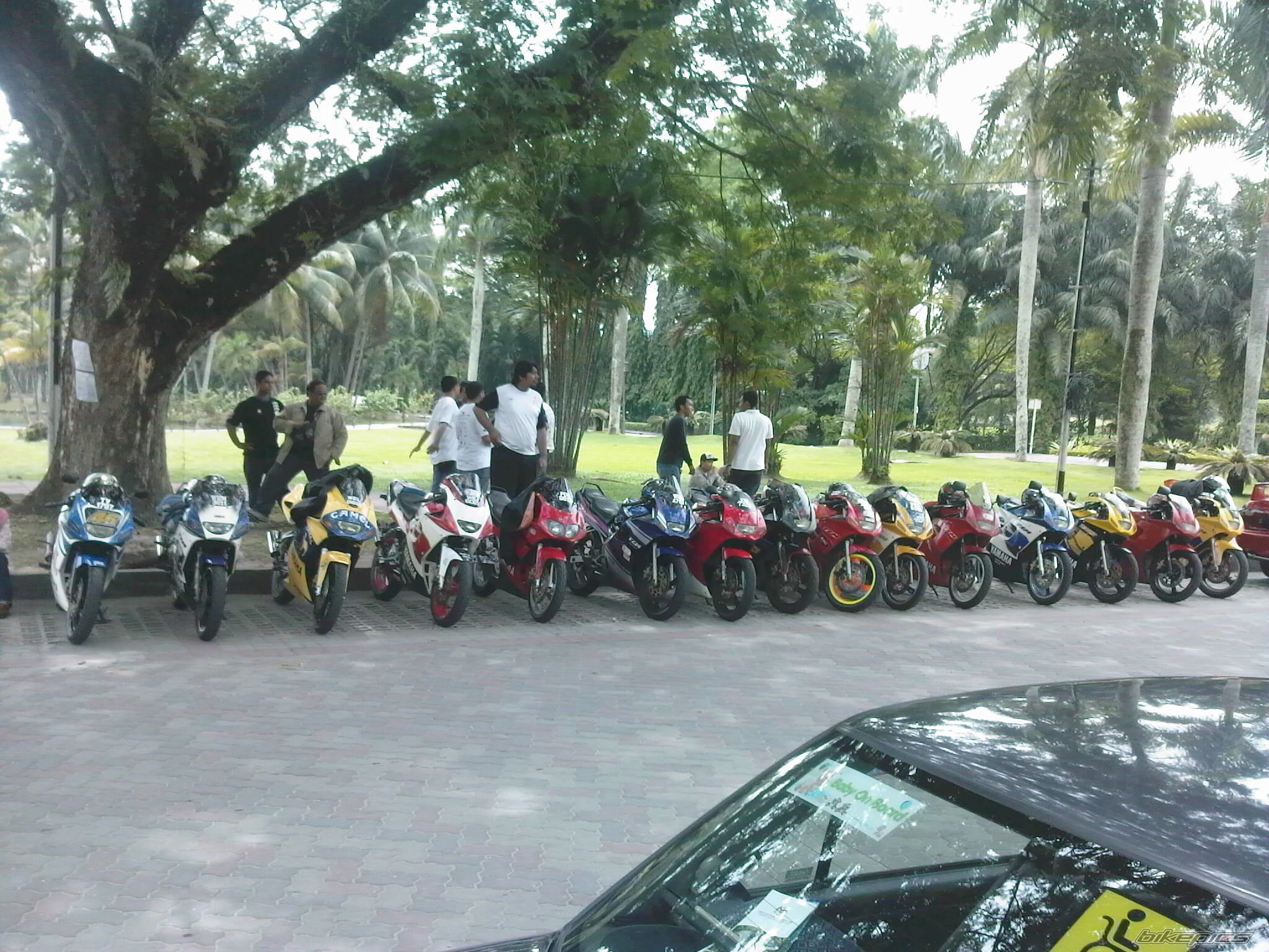 Photo 1367163