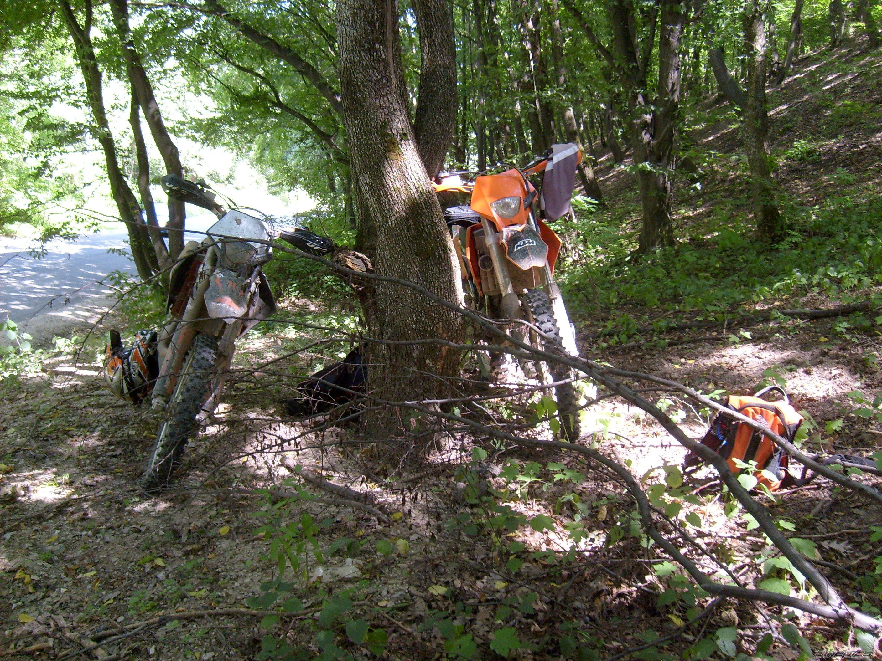 Photo 1367240